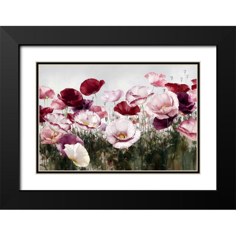 Royal Poppy Black Modern Wood Framed Art Print with Double Matting by Levashov, Igor