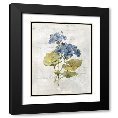 Blue Linen Geranium Black Modern Wood Framed Art Print with Double Matting by Robinson, Carol
