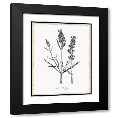 Simply Lavender Black Modern Wood Framed Art Print with Double Matting by Donovan, Kelly