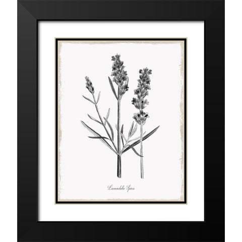 Simply Lavender Black Modern Wood Framed Art Print with Double Matting by Donovan, Kelly
