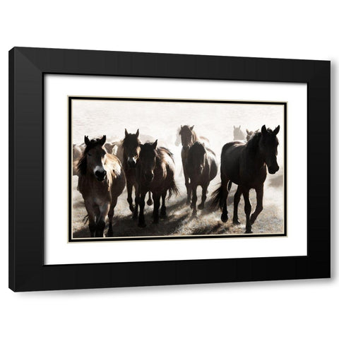 Westward Bound Black Modern Wood Framed Art Print with Double Matting by Delimont, Danita