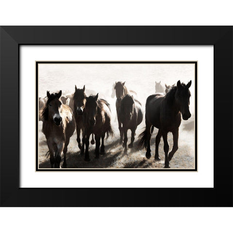 Westward Bound Black Modern Wood Framed Art Print with Double Matting by Delimont, Danita