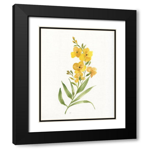 Ochre Botanical II Black Modern Wood Framed Art Print with Double Matting by Nan