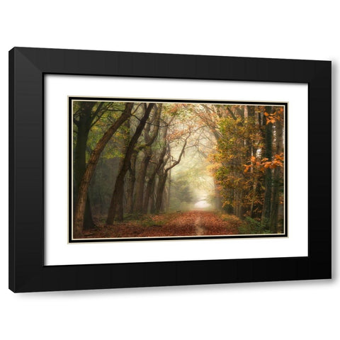 Path of Dreams Black Modern Wood Framed Art Print with Double Matting by Van de Goor, Lars