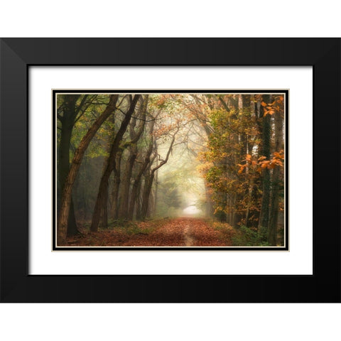 Path of Dreams Black Modern Wood Framed Art Print with Double Matting by Van de Goor, Lars