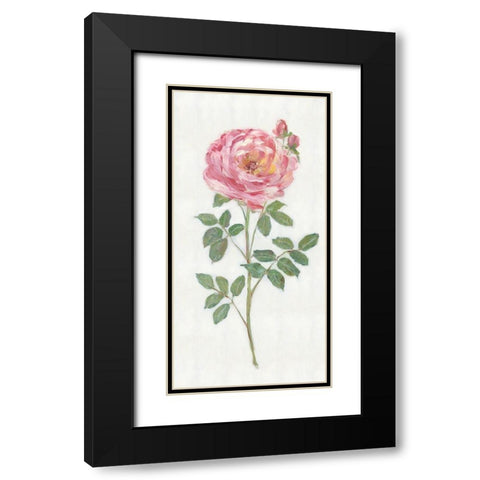 Single Stem I Black Modern Wood Framed Art Print with Double Matting by Swatland, Sally