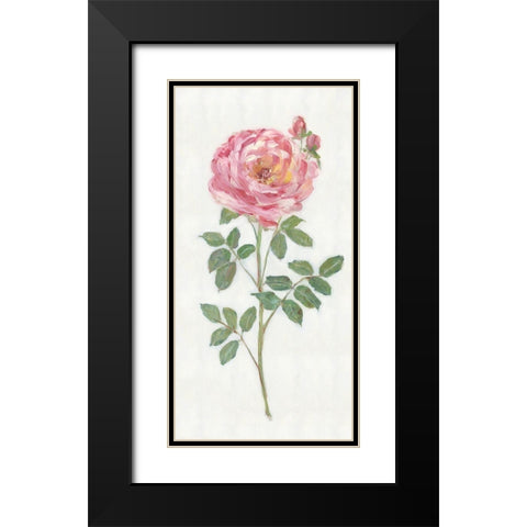 Single Stem I Black Modern Wood Framed Art Print with Double Matting by Swatland, Sally