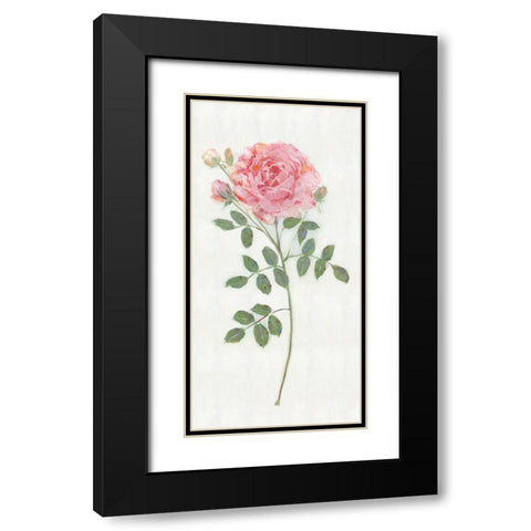 Single Stem II Black Modern Wood Framed Art Print with Double Matting by Swatland, Sally