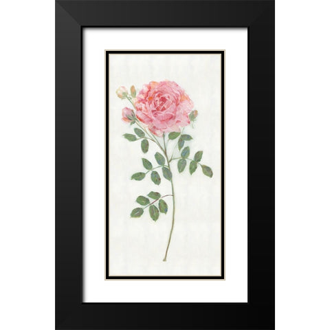 Single Stem II Black Modern Wood Framed Art Print with Double Matting by Swatland, Sally