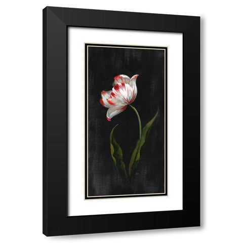 Master Botanical II Black Modern Wood Framed Art Print with Double Matting by Nan