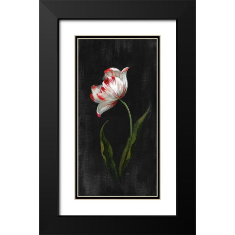 Master Botanical II Black Modern Wood Framed Art Print with Double Matting by Nan