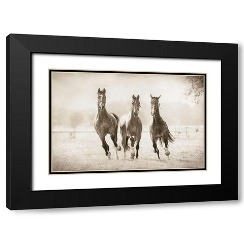 The Young Ones Black Modern Wood Framed Art Print with Double Matting by Van de Goor, Lars