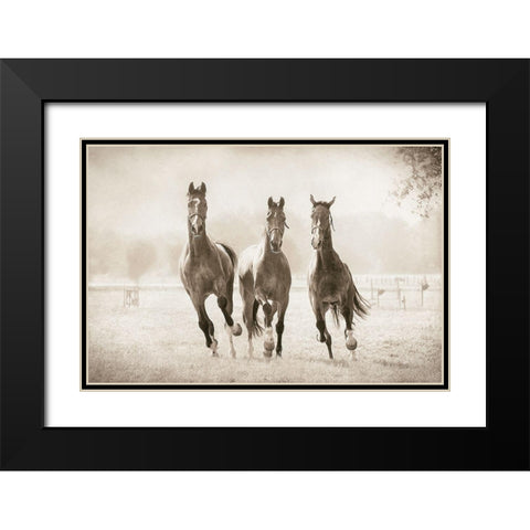 The Young Ones Black Modern Wood Framed Art Print with Double Matting by Van de Goor, Lars