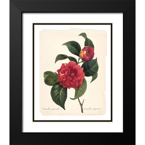 Red Botanical I Black Modern Wood Framed Art Print with Double Matting by Robinson, Carol