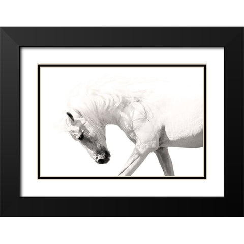 Neutral Stallion Black Modern Wood Framed Art Print with Double Matting by Klopfer, Lee