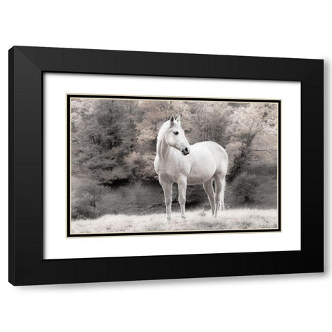White Mare Black Modern Wood Framed Art Print with Double Matting by Jannsen, Brian
