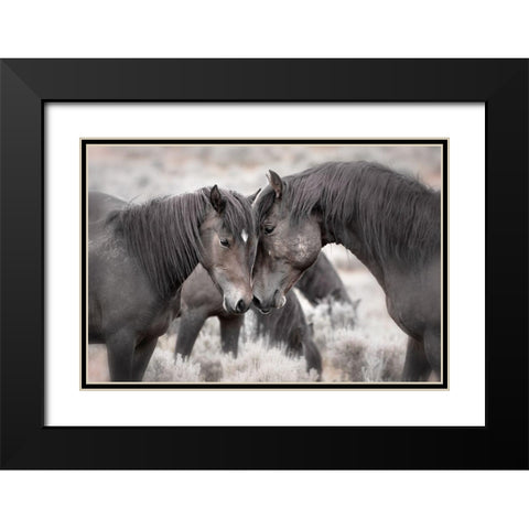 Wild Horses Black Modern Wood Framed Art Print with Double Matting by Ditto, Larry