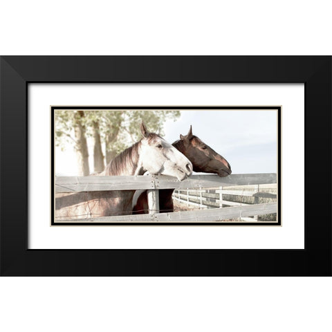 Friendly Visit Black Modern Wood Framed Art Print with Double Matting by Robinson, Carol
