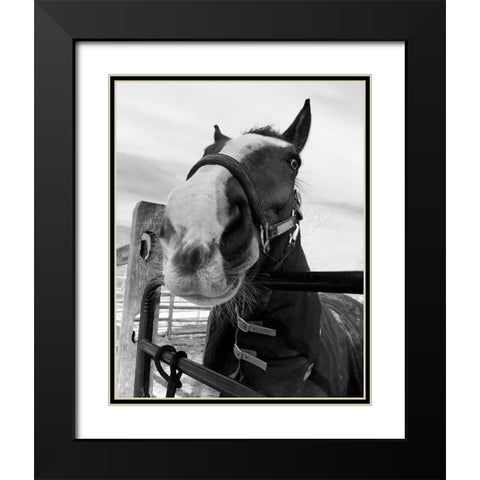 Argenteuil Black Modern Wood Framed Art Print with Double Matting by Jill, Susan