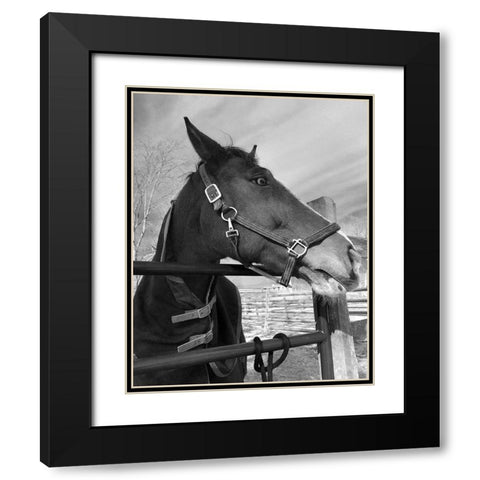 Bordeaux Black Modern Wood Framed Art Print with Double Matting by Jill, Susan