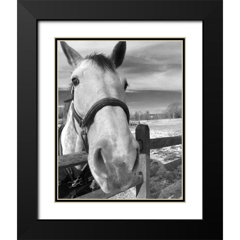 Caen Black Modern Wood Framed Art Print with Double Matting by Jill, Susan