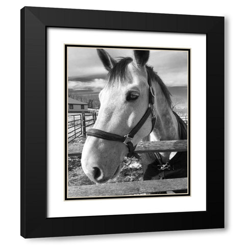 Dijon Black Modern Wood Framed Art Print with Double Matting by Jill, Susan