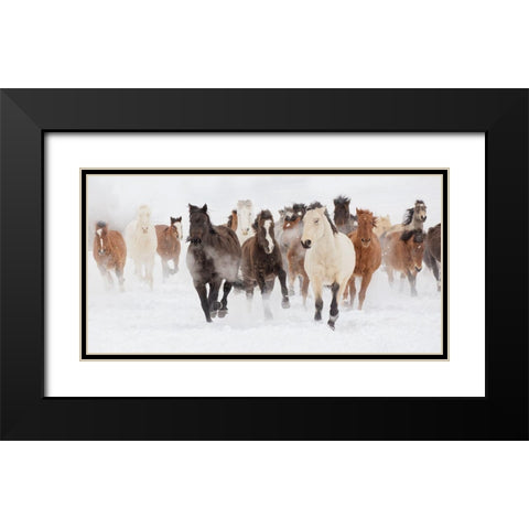 Pasture Run Black Modern Wood Framed Art Print with Double Matting by Delimont, Danita