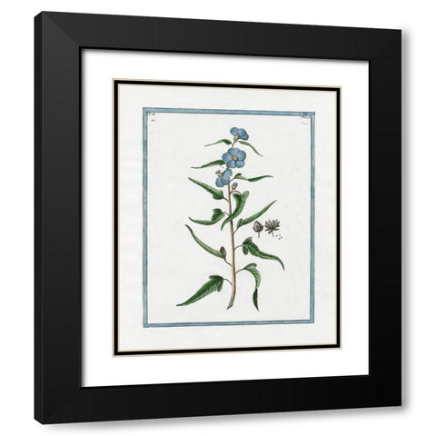 Shabby Chic Botanical I Black Modern Wood Framed Art Print with Double Matting by Donovan, Kelly