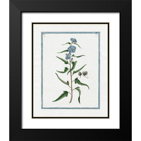 Shabby Chic Botanical I Black Modern Wood Framed Art Print with Double Matting by Donovan, Kelly