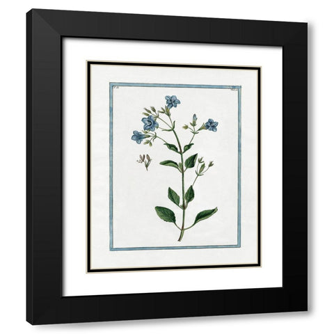 Shabby Chic Botanical II Black Modern Wood Framed Art Print with Double Matting by Donovan, Kelly