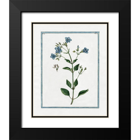 Shabby Chic Botanical II Black Modern Wood Framed Art Print with Double Matting by Donovan, Kelly