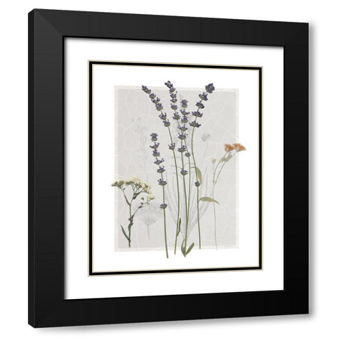Field Study Page I Black Modern Wood Framed Art Print with Double Matting by Robinson, Carol