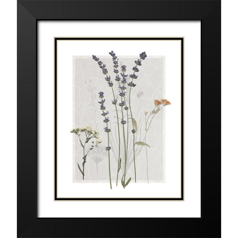 Field Study Page I Black Modern Wood Framed Art Print with Double Matting by Robinson, Carol