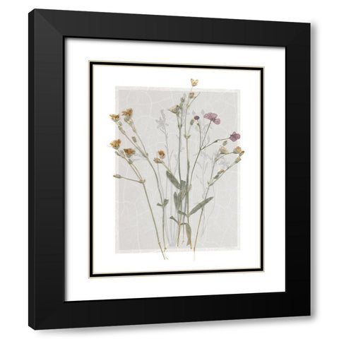 Field Study Page II Black Modern Wood Framed Art Print with Double Matting by Robinson, Carol