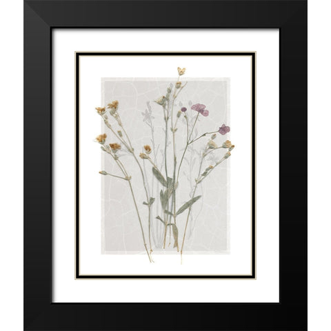 Field Study Page II Black Modern Wood Framed Art Print with Double Matting by Robinson, Carol