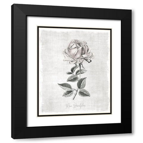 Vintage Botanical II Black Modern Wood Framed Art Print with Double Matting by Carpentieri, Natalie