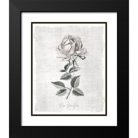 Vintage Botanical II Black Modern Wood Framed Art Print with Double Matting by Carpentieri, Natalie
