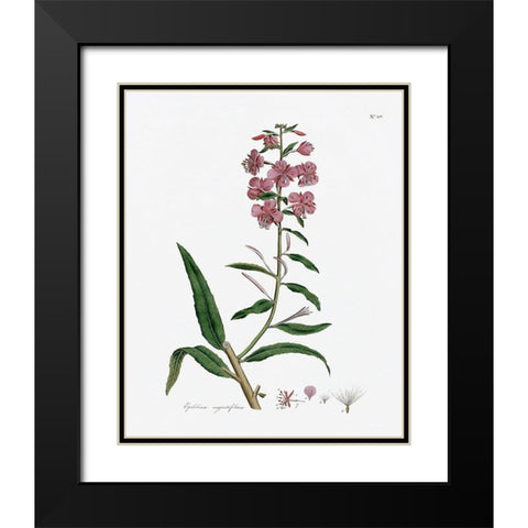 Rose Botanical I Black Modern Wood Framed Art Print with Double Matting by CAD Designs