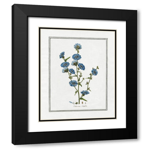 Soft Botanical I Black Modern Wood Framed Art Print with Double Matting by CAD Designs