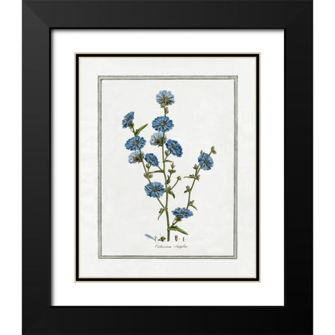 Soft Botanical I Black Modern Wood Framed Art Print with Double Matting by CAD Designs