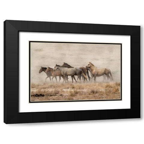 Roaming Free Black Modern Wood Framed Art Print with Double Matting by Delimont, Danita