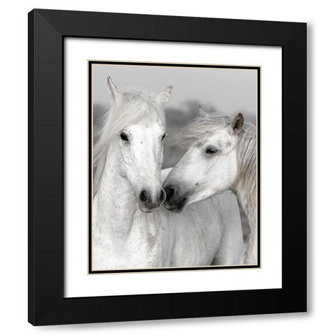 Affection I Black Modern Wood Framed Art Print with Double Matting by Delimont, Danita