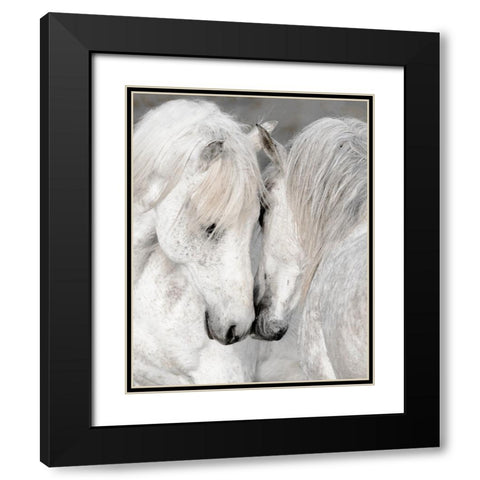 Affection II Black Modern Wood Framed Art Print with Double Matting by Delimont, Danita