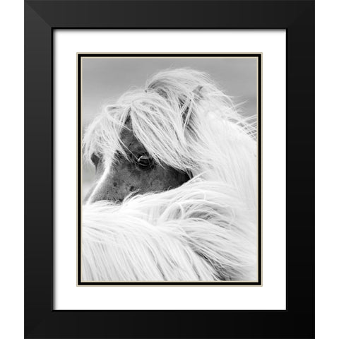 Island Pony II Black Modern Wood Framed Art Print with Double Matting by Delimont, Danita