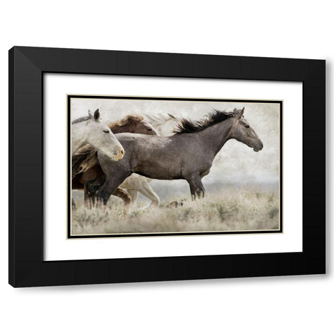 Thunder Ridge Distressed Black Modern Wood Framed Art Print with Double Matting by Delimont, Danita