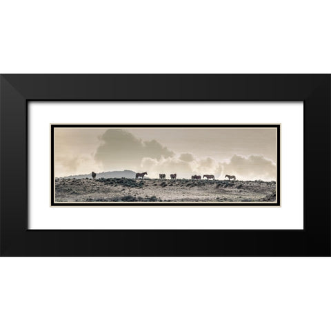 Wild Horse Ridge Black Modern Wood Framed Art Print with Double Matting by Delimont, Danita