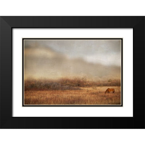 Grazing at Sunset Black Modern Wood Framed Art Print with Double Matting by Delimont, Danita