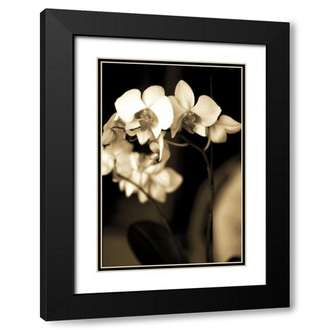 Exotic Blooms Black Modern Wood Framed Art Print with Double Matting by Ryan, Cinzia