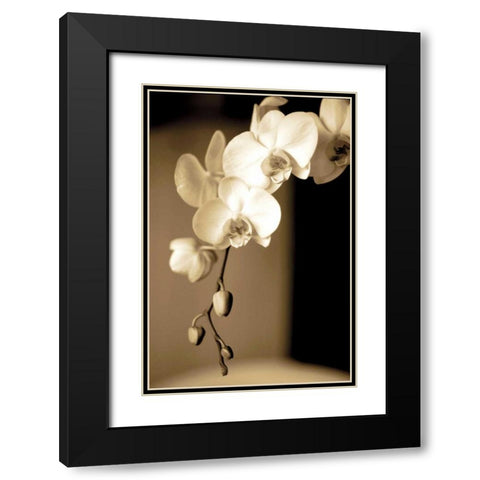 Exotic Blooms Black Modern Wood Framed Art Print with Double Matting by Ryan, Cinzia