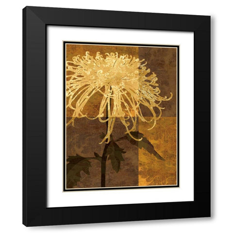 Golden Mums I Black Modern Wood Framed Art Print with Double Matting by Mallett, Keith